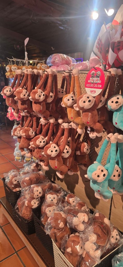 Gibraltar plush monkeys hanging in the gift shop